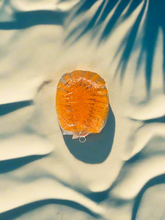 Tawashi Brush Orange